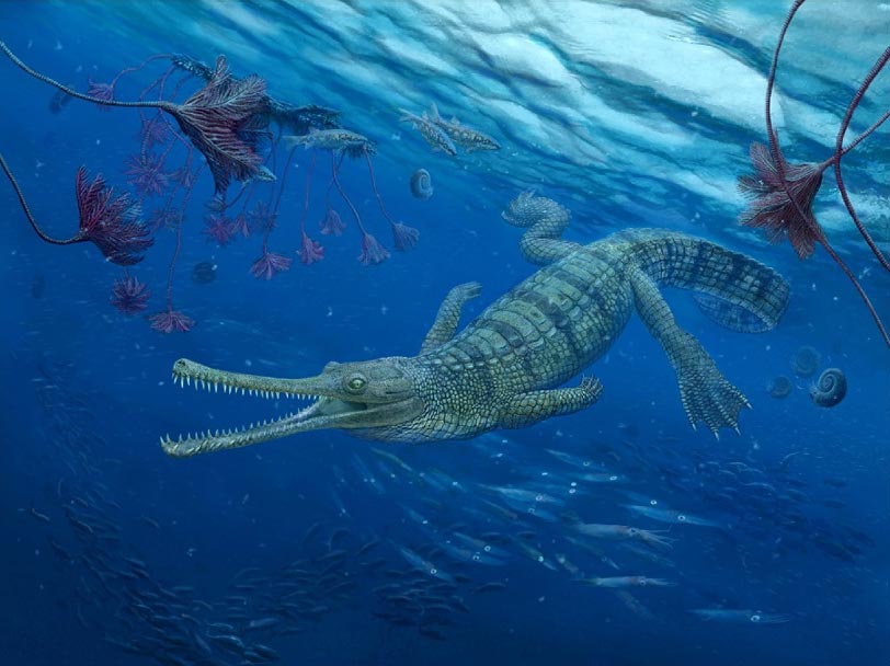 Artist’s impression of Macrospondylus- an extinct fossil group of teleosauriods. Credit: Nikolay Zverkov