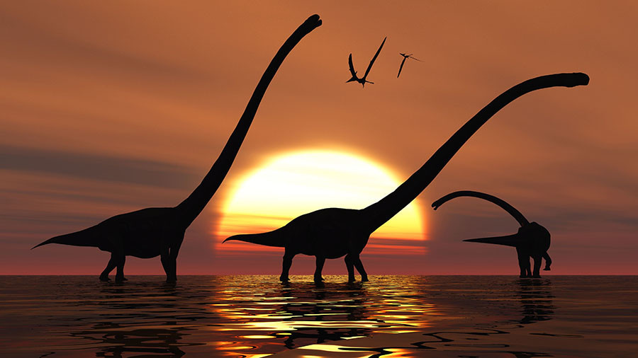 © Mark Stevenson / UIG / Getty Images