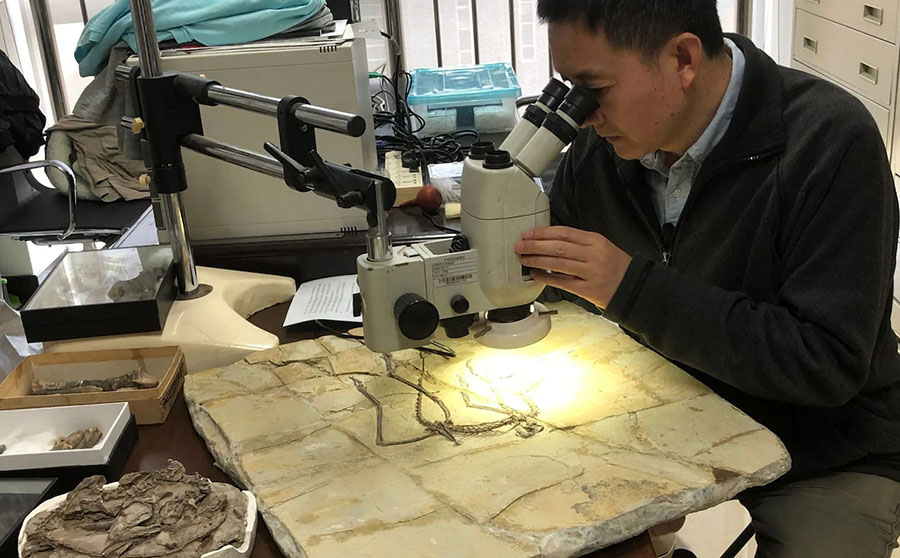 Mr Xu, 49, spends his time racing all over the country following leads from the building boom, earning him the moniker of 'China's Indiana Jones'. CREDIT: SOPHIA YAN FOR THE TELEGRAPH