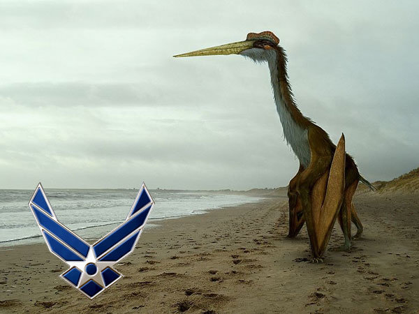 Now only if we could find a way to attach a BRRRRRT to one we'd be set.