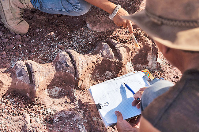 Sereno’s team found 20 tonnes of dinosaur bones in Niger’s Agadez region over a series of trips in 2018 and 2019. PHOTOS: THE WASHINGTON POST