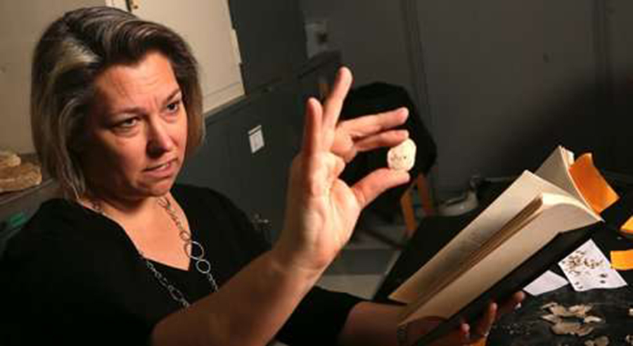 Peering into the past:  Paleontologist Rowan Lockwood examines the fossilized remains of shellfish to understand present and future environmental implications. She has used fossil oysters to make recommendations on policy for the Chesapeake Bay and is a co-author on a paper that examines the fate of shellfish during a long-past episode of global warming known as the PETM.  Photo by Stephen Salpukas