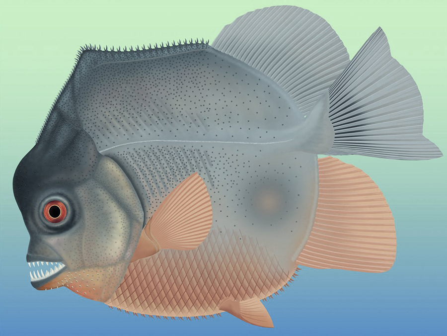 An artist’s reconstruction of Piranhamesodon pinnatomus. Image credit: Jura-Museum Eichstätt.