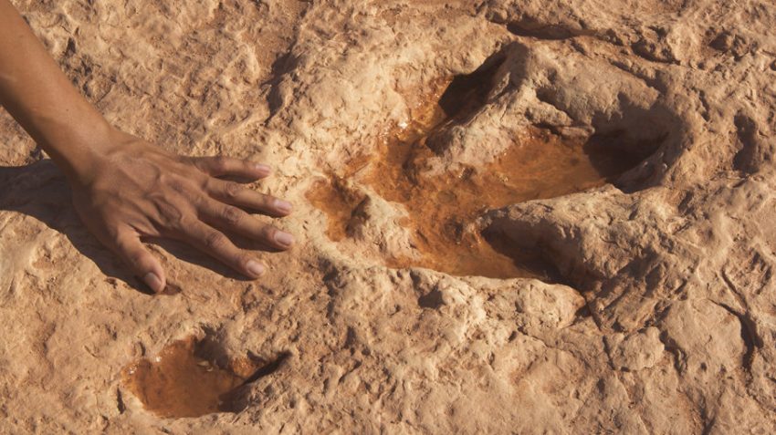 Places to See Real Dinosaur Tracks