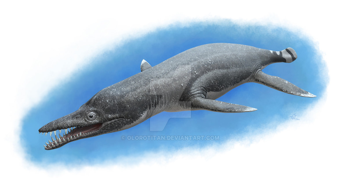 Pliosaurus rossicus by Olorotitan on DeviantArt