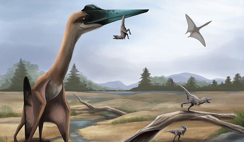 Quetzalcoatlus had a wingspan of 52 feet. imgur.com