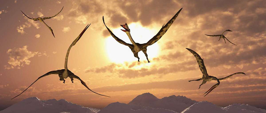 A flock of giant Quetzalcoatluses in flight during the Cretaceous Period.  Mark Stevenson / Stocktrek Images /Getty Images