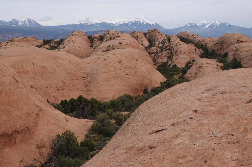 Navajo Sandstone from the Moab area taken by study co-author Stephen T. Hasiotis. Credit: Stephen T. Hasiotis