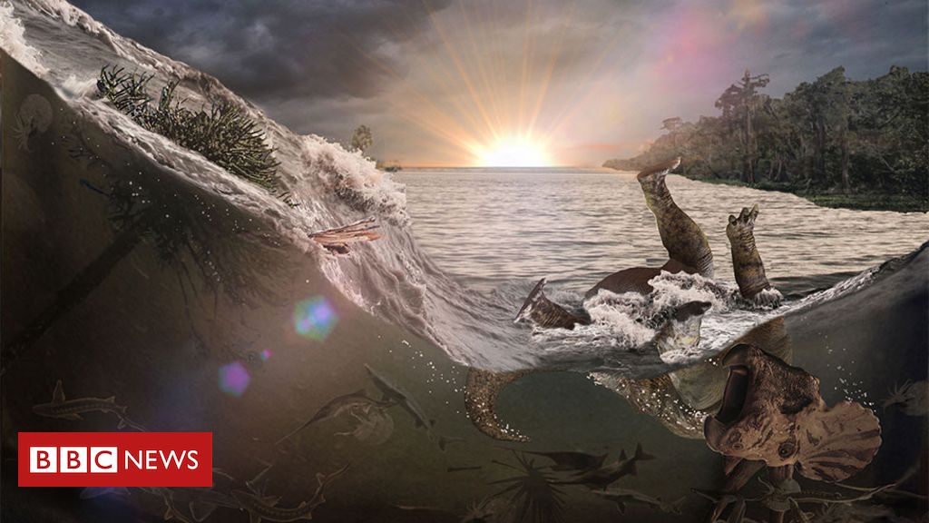 The seismic shockwave would have triggered a water surge, known as a seiche. ROBERT DEPALMA