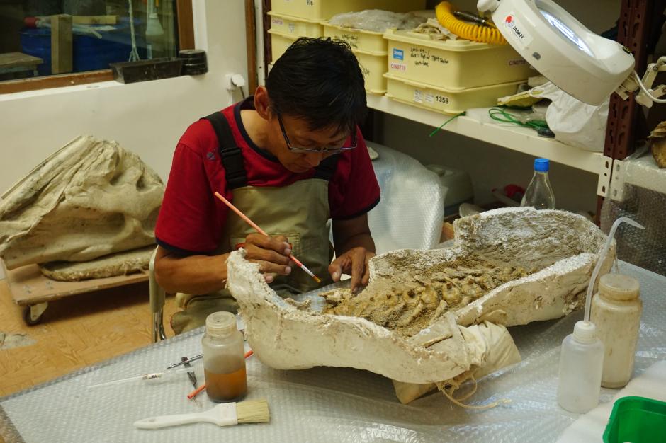 Researchers at the Mongolia Institute of Paleontology examining a fossil from the Gobi. KESHIA NAURANA BADALGE