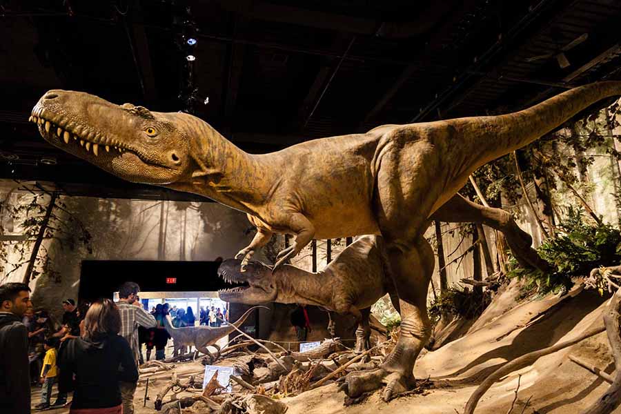Royal Tyrrell Museum of Palaeontology