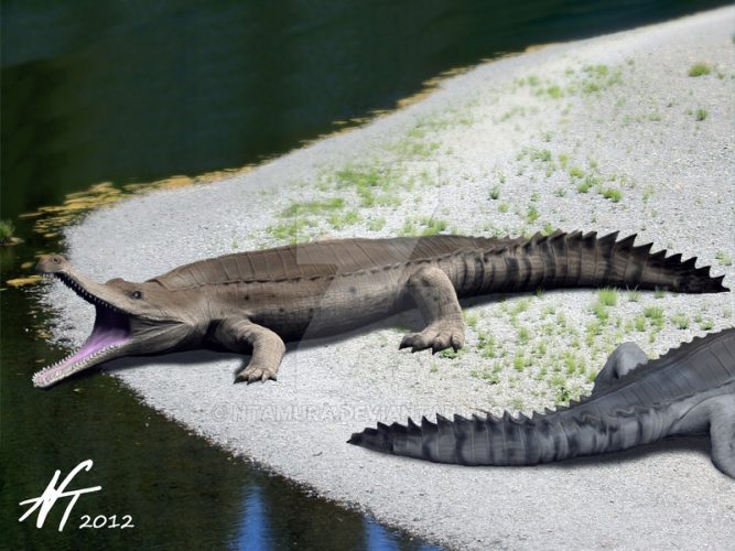 Sarcosuchus by Nobu Tamura