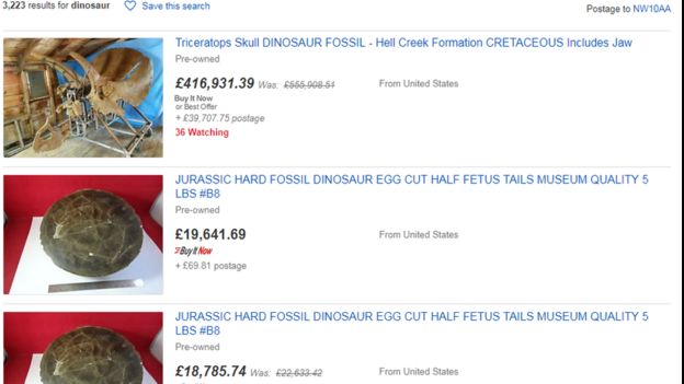 Searching eBay turns up hundreds of specimens for sale. BETH TIMMINS/ EBAY