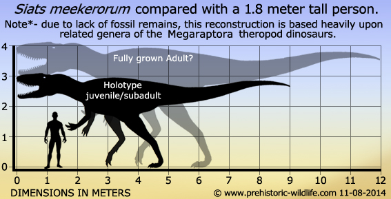 Siats size by Prehistoric Wildlife