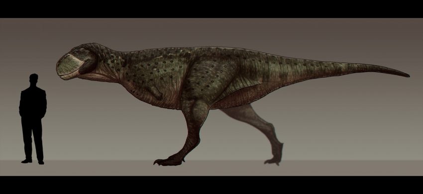 Skorpiovenator bustingorryi by Paleocolour