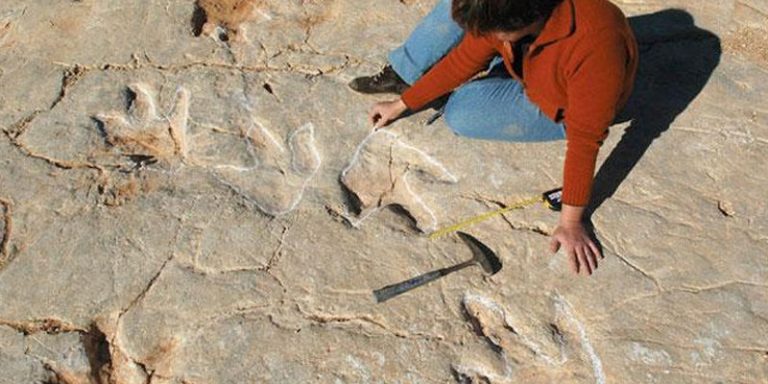 Spanish Paleontological Team Find Over 700 fish-eating Dinosaur Footprints in Portugal