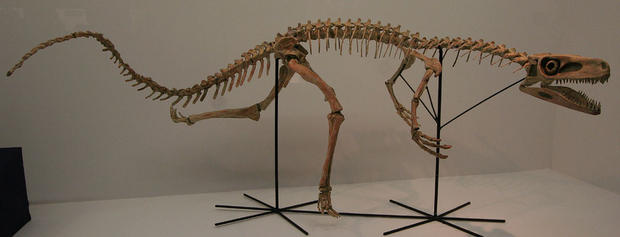 Staurikosaurus pricei, via Wikimedia Commons