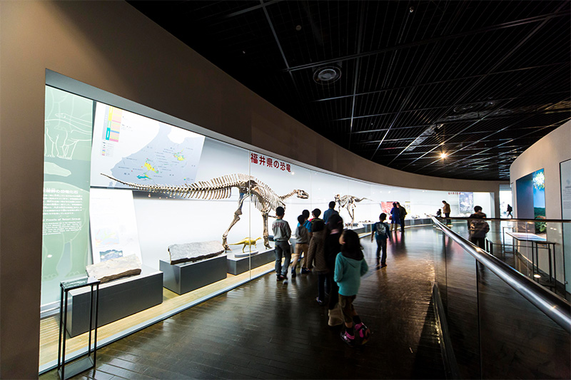 The Dinosaurs in Fukui area showcases fossils, reconstructed skeletons, and models of fukuisaurus and other locally discovered species.