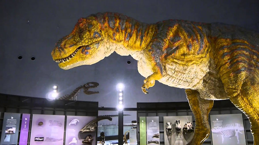 The Fukui Prefectural Dinosaur Museum