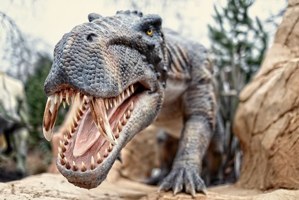 The UK's largest animatronic Dinosaur attraction at West Midland Safari Park