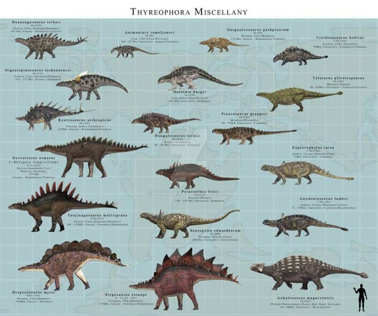 Thyreophora Miscellany by PaleoGuy