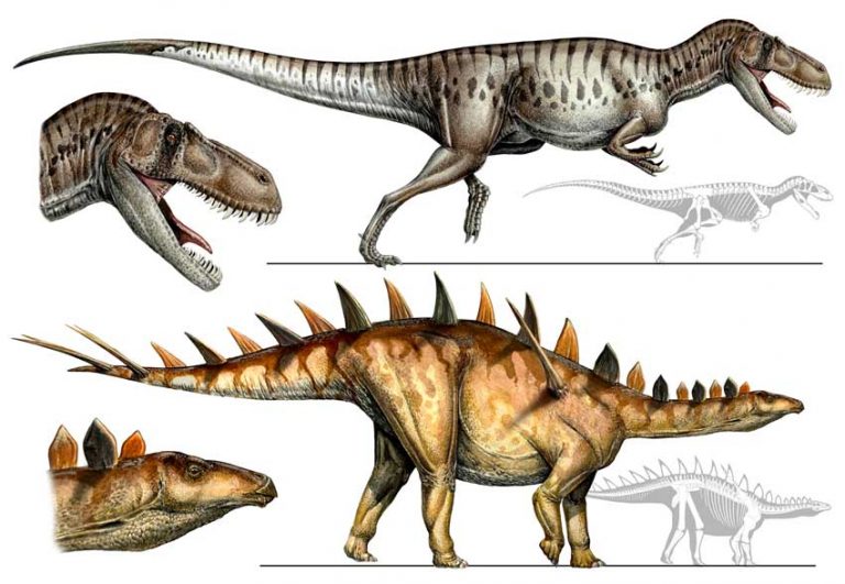 Torvosaurus and Miragaia by Davide Bonadonna
