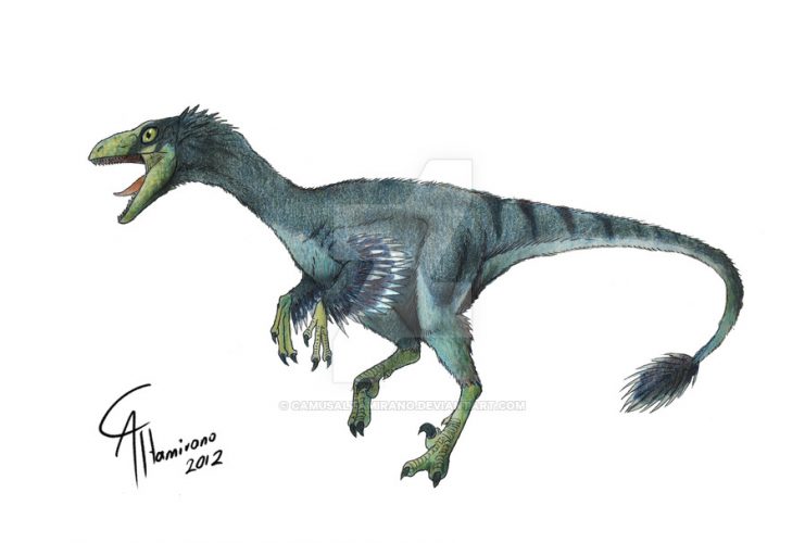 Troodon formosus by CamusAltamirano on Deviantart