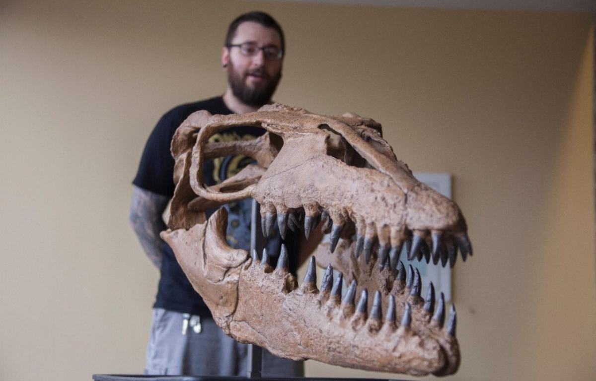 UC graduate student Samuel Garvey stands in front of a cast of a mosasaur skull that UC's Department of Biological Sciences acquired this year.