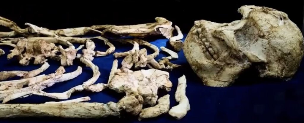 (Science and more/YouTube)