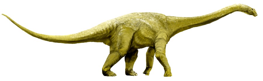 Wintonotitan