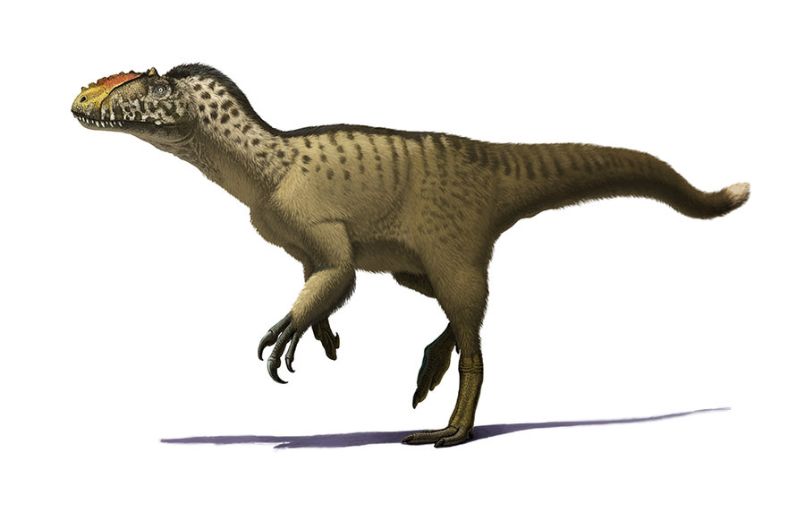 Yutyrannus by Olorotitan on DeviantArt