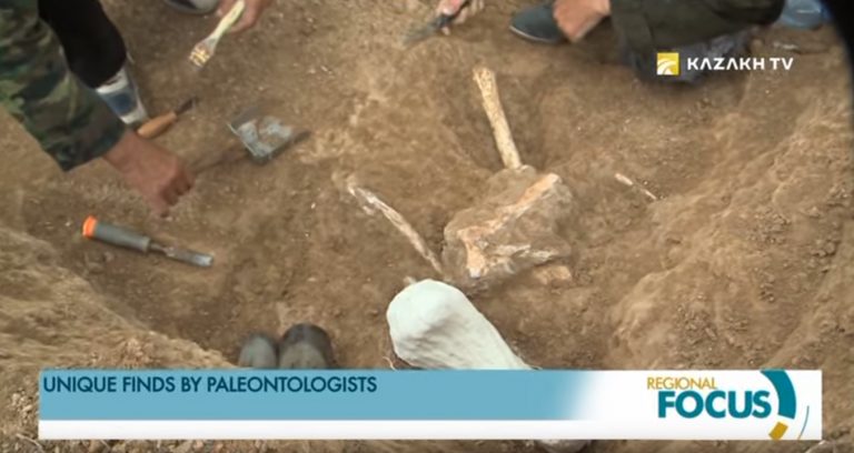 Zaisan Basin: Unique Finds by Paleontologists
