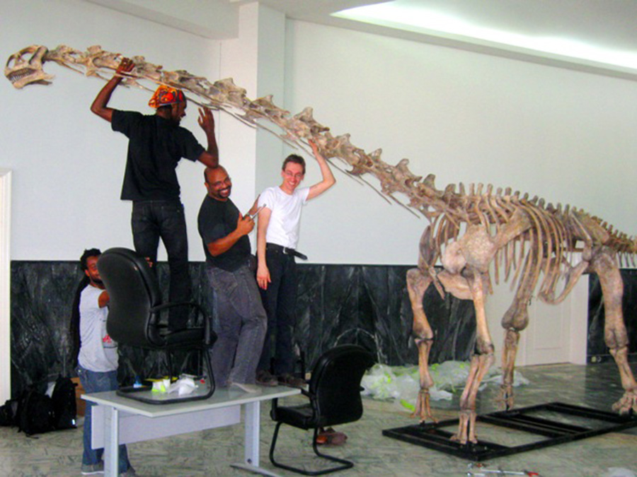 Assembling a full scale model of the Angolatitan, Angola's first dinosaur discovered in 2005, 70 km north of Luanda. This 13 meter long herbivore lived about 90 million years ago.