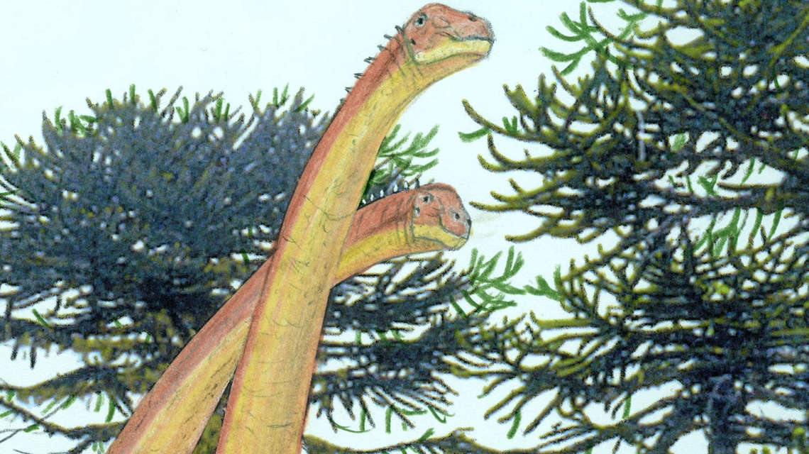 Credit: © Gregory Paul 2020