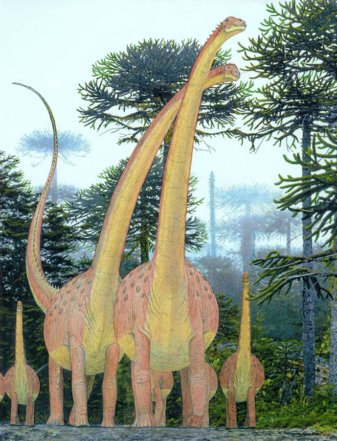 Credit: © Gregory Paul 2020