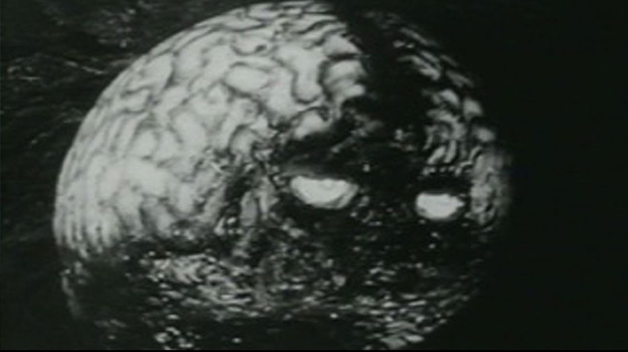 Credit: Howco International