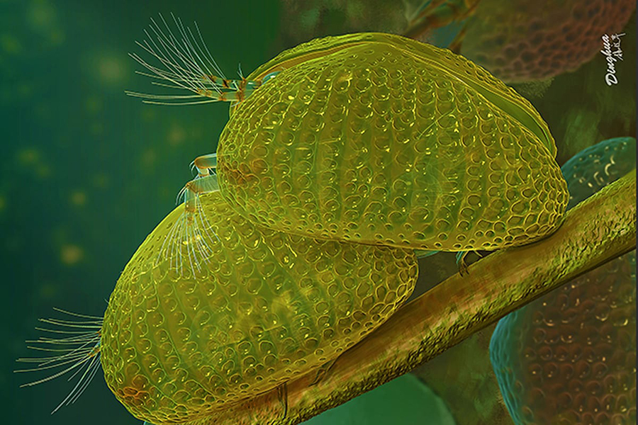 Header Image Credit : Dinghua Yang