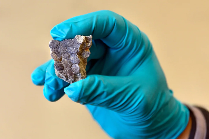 A close-up of the dinosaur skin shows the clear preservation of the specimen. (University of Regina Photography Dept)