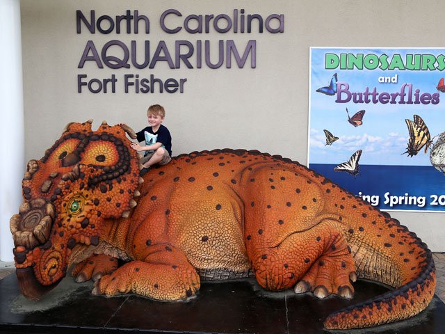 NC Aquarium Fort Fisher