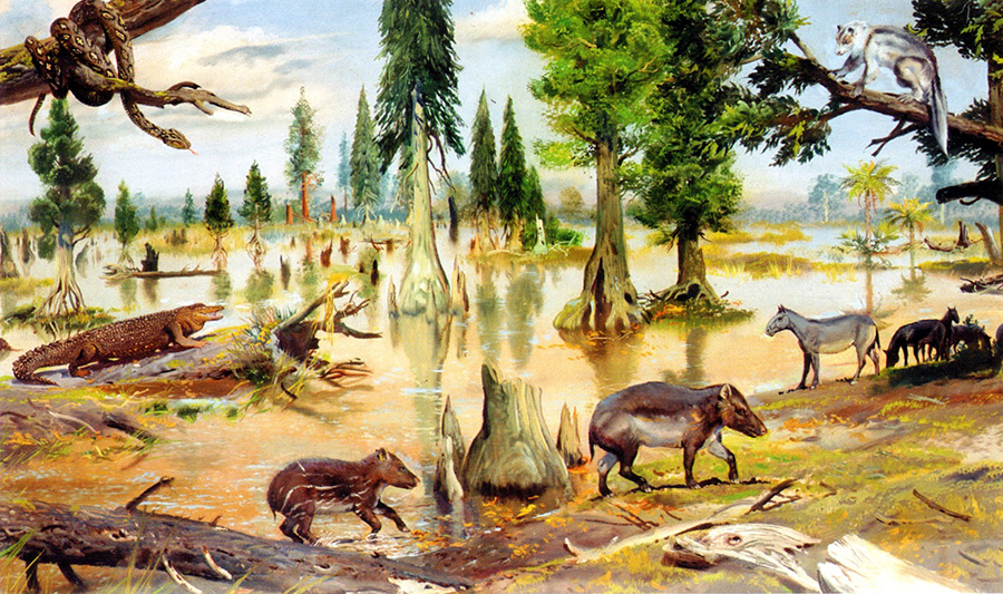 Eocene marsh fauna by Zdenek Burian 1976