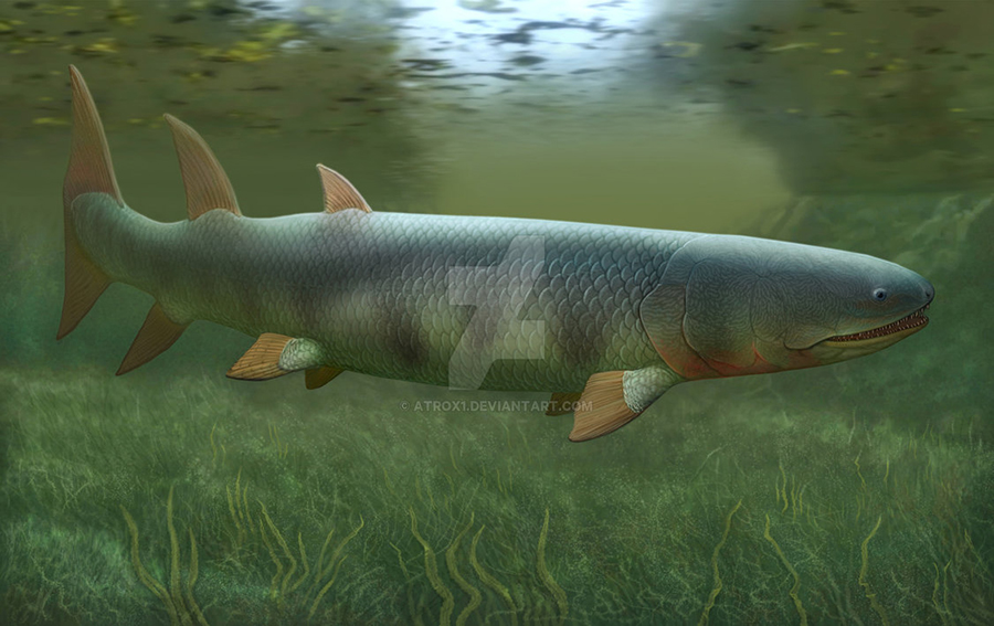 Eusthenopteron by atrox1