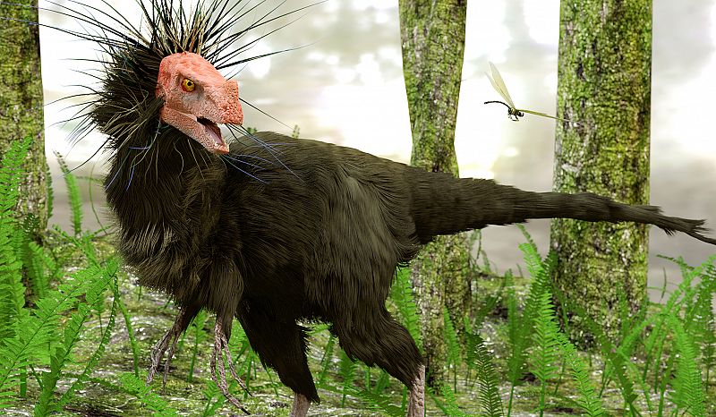 Dinosaur fossils have been found with feather impressions. www.scitecheuropa.eu
