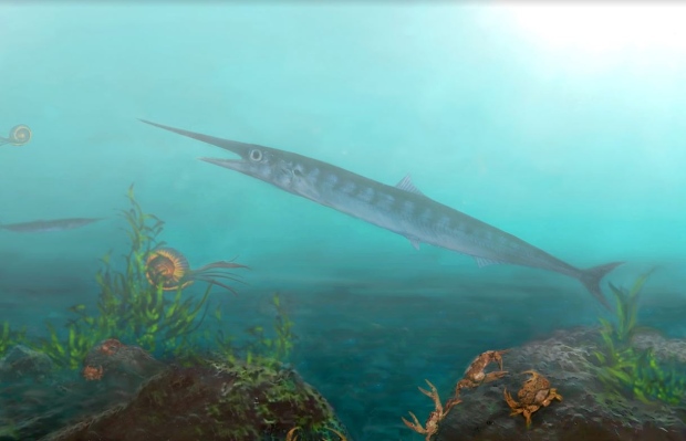 The long-jawed 'lizard fish' would have thrived in the oceans that once covered Colombia. (Oksana Vernygora)