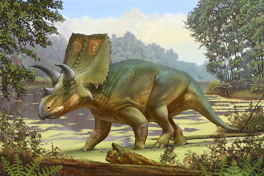 Life reconstruction of Sierraceratops turneri. Image credit: Sergey Krasovskiy.