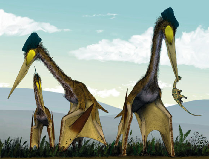 Life restoration of a group of giant azhdarchids, Quetzalcoatlus northropi, foraging on a Cretaceous fern prairie. Image credit: Mark Witton / Darren Naish.