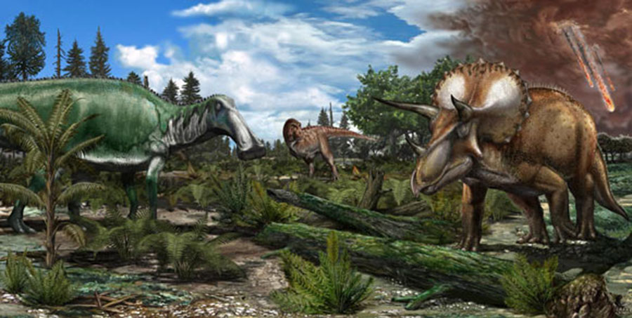Reconstruction of Late Maastrichtian (66 million years ago) paleoenvironment in North America, where a floodplain is roamed by dinosaurs like Tyrannosaurus rex, Edmontosaurus and Triceratops. Image credit: Davide Bonadonna.
