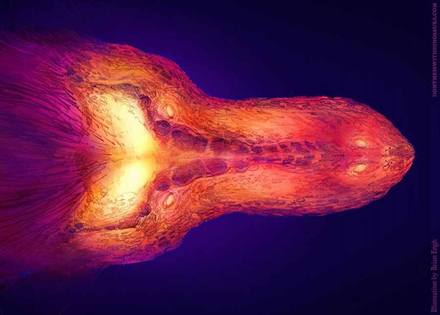 A graphic thermal image of a T. rex skull. Image credit: Brian Engh.