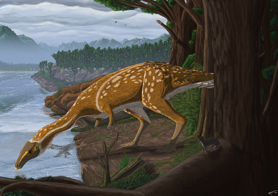 Life reconstruction of the first Australian elaphrosaur. Image credit: Ruairidh Duncan.