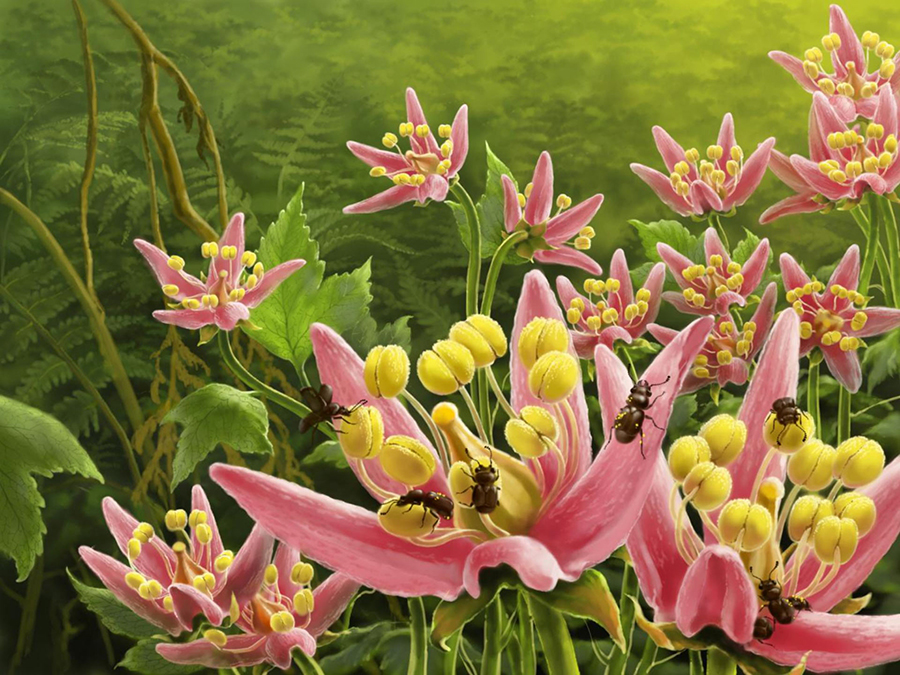 Ecological reconstruction of Pelretes vivificus in the Burmese amber forest; the flowers in the reconstruction are based on Lijinganthus revoluta. Image credit: J. Sun.