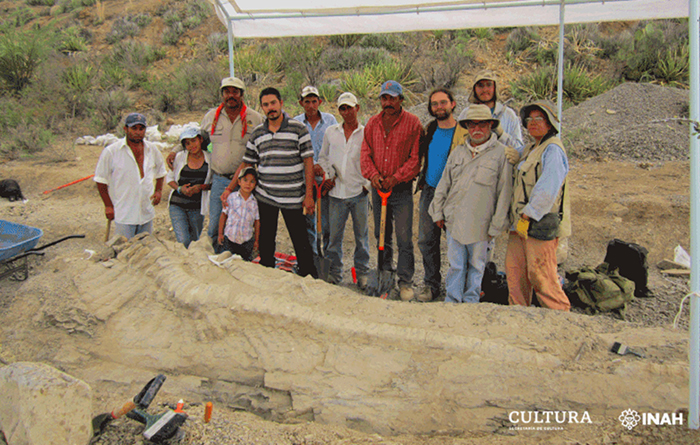 Paleontologists with the fossilized tail of Tlatolophus galorum. Image credit: Ramírez-Velasco et al., doi: 10.1016/j.cretres.2021.104884.